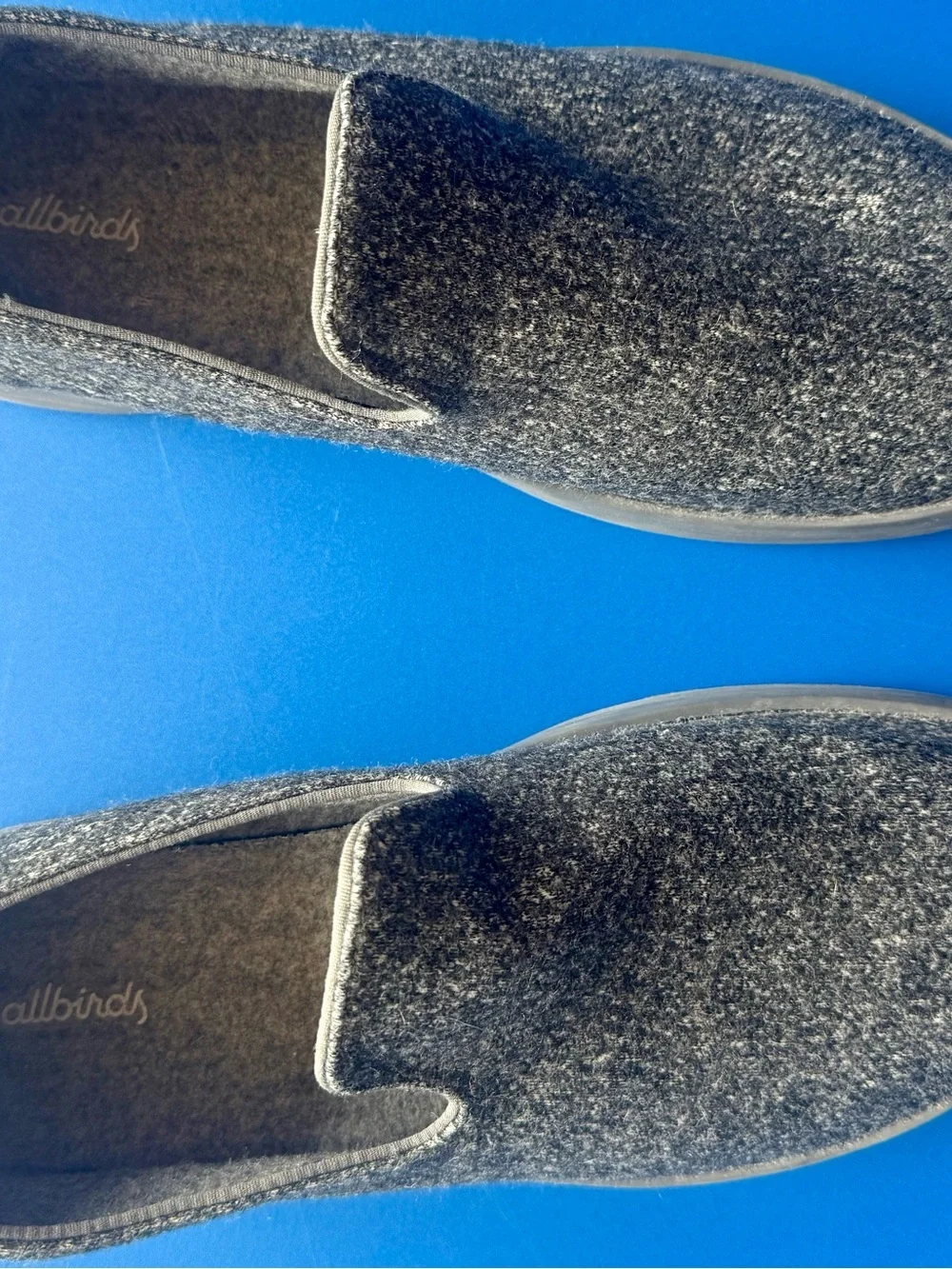 allbirds comfort meets